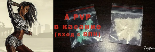 дживик Надым