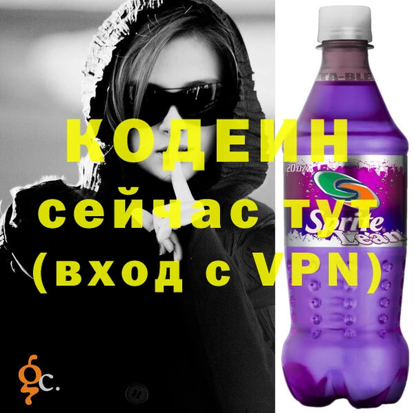 дживик Надым