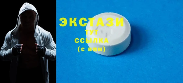 дживик Надым