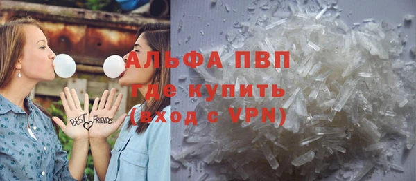 дживик Надым