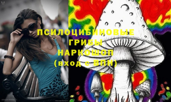шишки Михайлов
