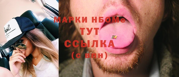 дживик Надым